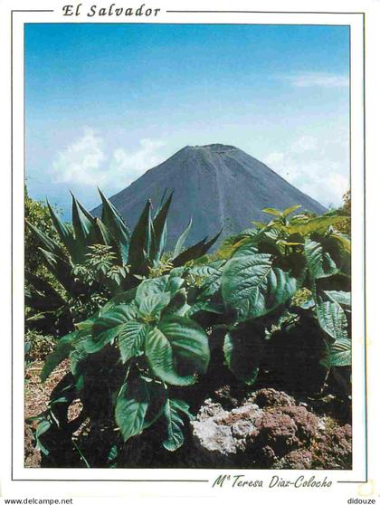 Carte Postale - Salvador - Izalco - Volcano de izalco visto desde el cerro verde izalco volcano view from cerro verde -