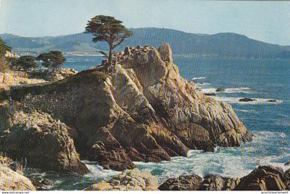 Midway Point, CA, gl1911 #E9137