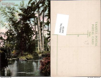 368799,Kuba Cuba Havana Puentes Grande Bamboo-cane trees Paisaje Bambus
