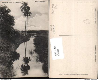 434411,Cuba Kuba Havana Country Club Sentinels Landschaft Palmen