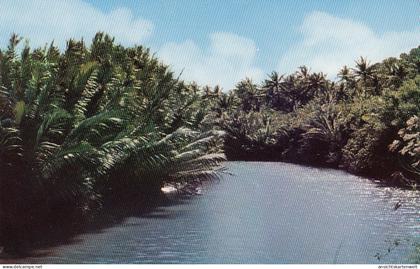 Guam, Ylig River ngl #E4573