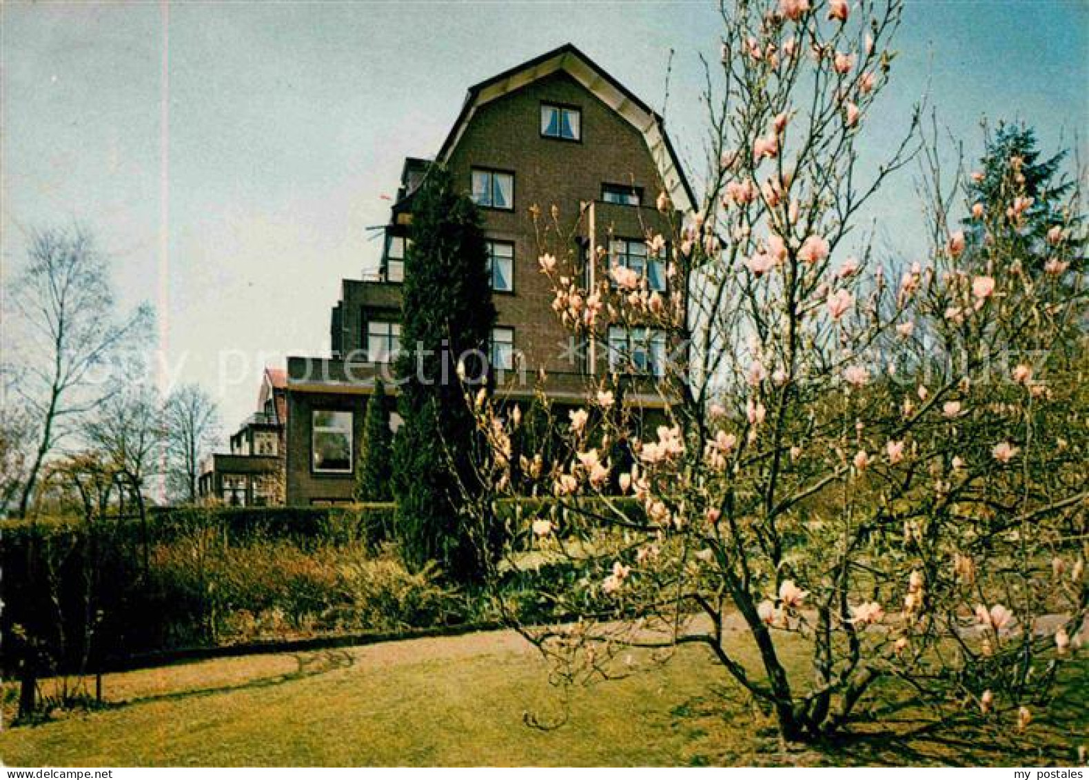 Amerongen Zendings Diaconessenhuis Baumbluete