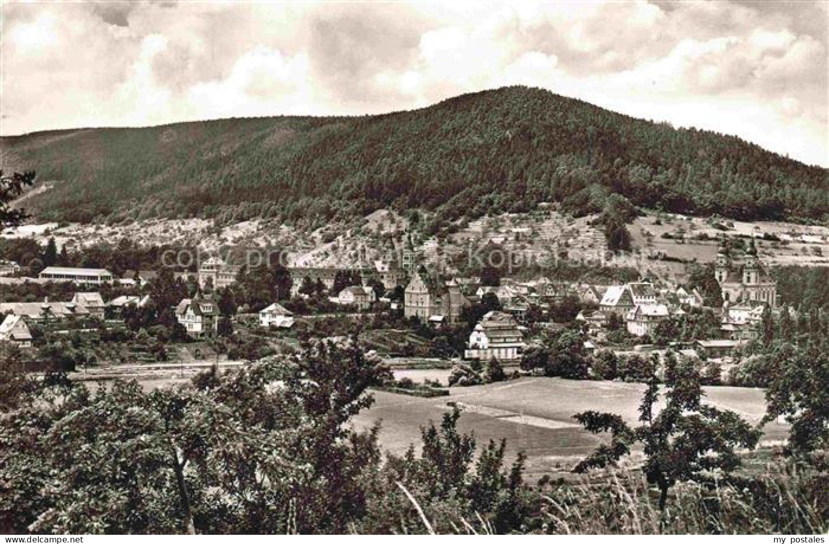 AMORBACH Bayern Amorbach Odenwald Kirchturm Kloster Ortschaft Berge Wald Felder