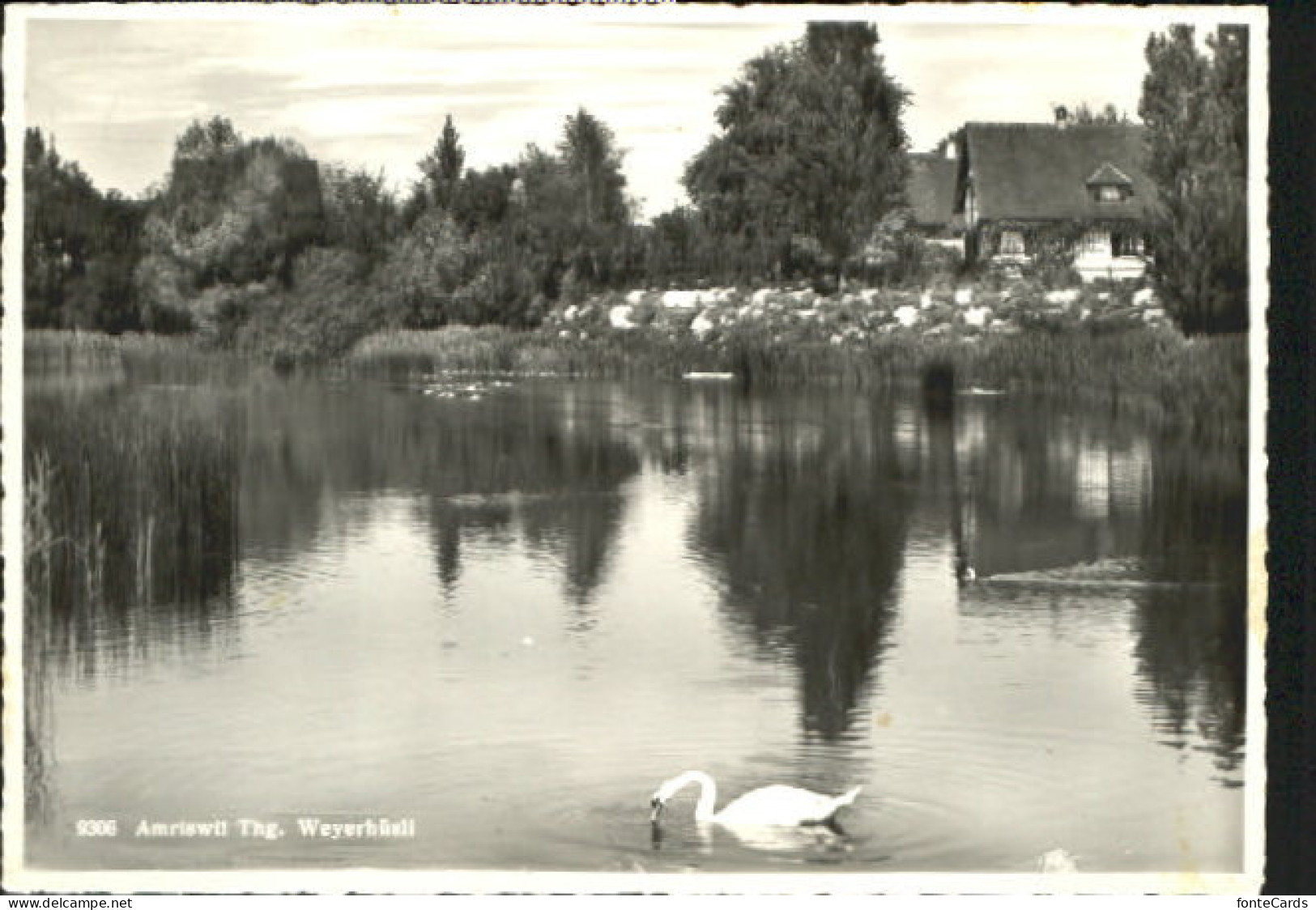 Amriswil TG Amriswil Huesli x 1945