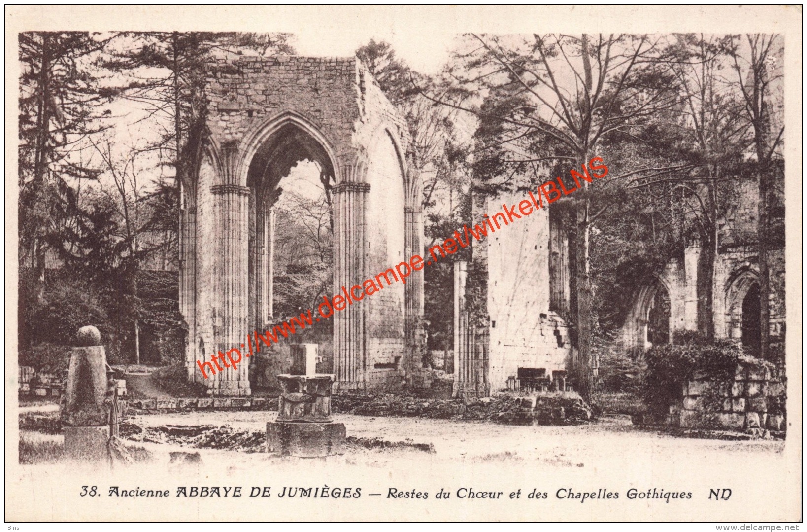 Ancienne Abbaye de Jumieges - restes du Choeur et des Chapelles Gothiques - Jumieges