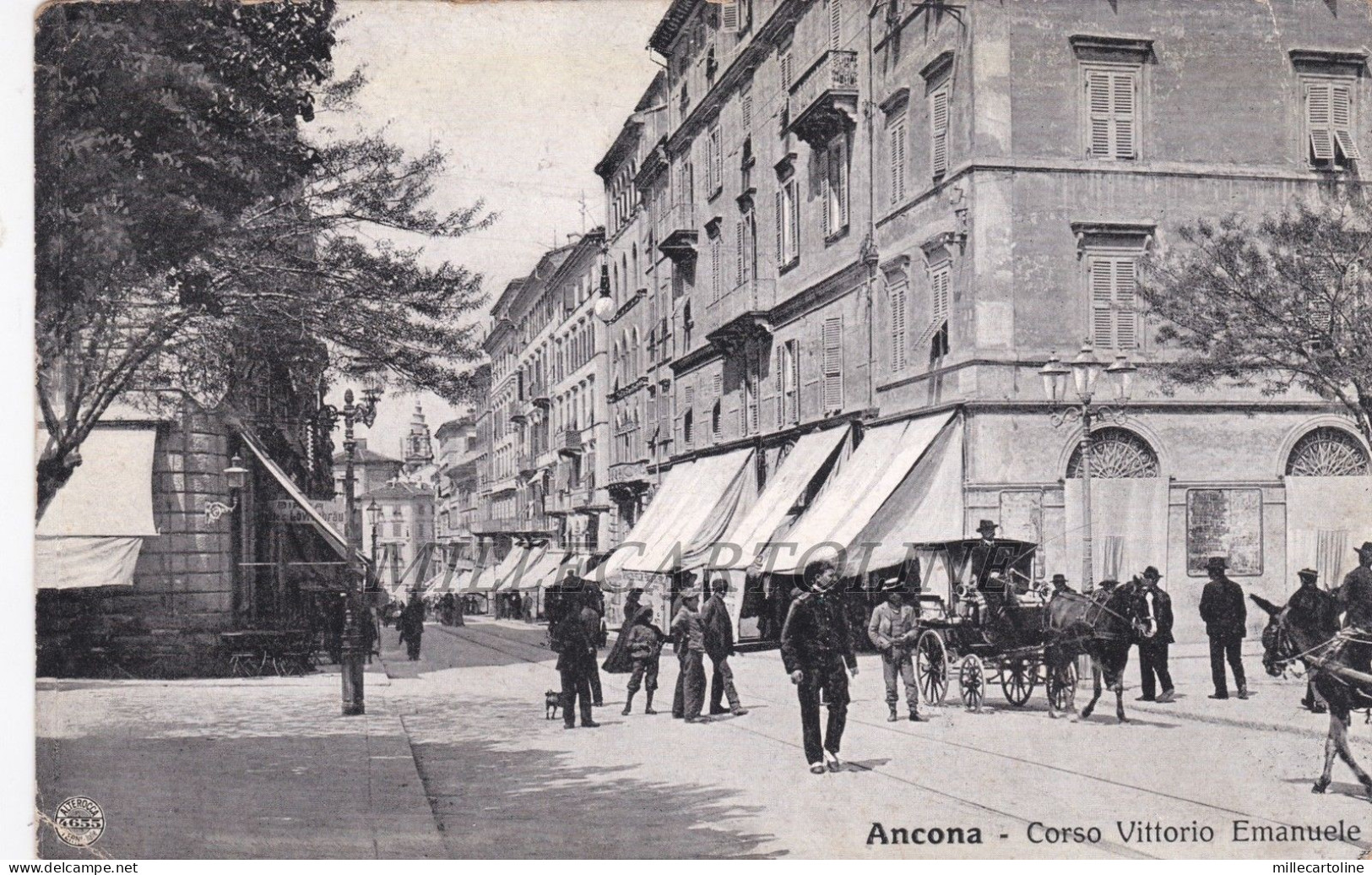 ANCONA: Corso Vittorio Emanuele