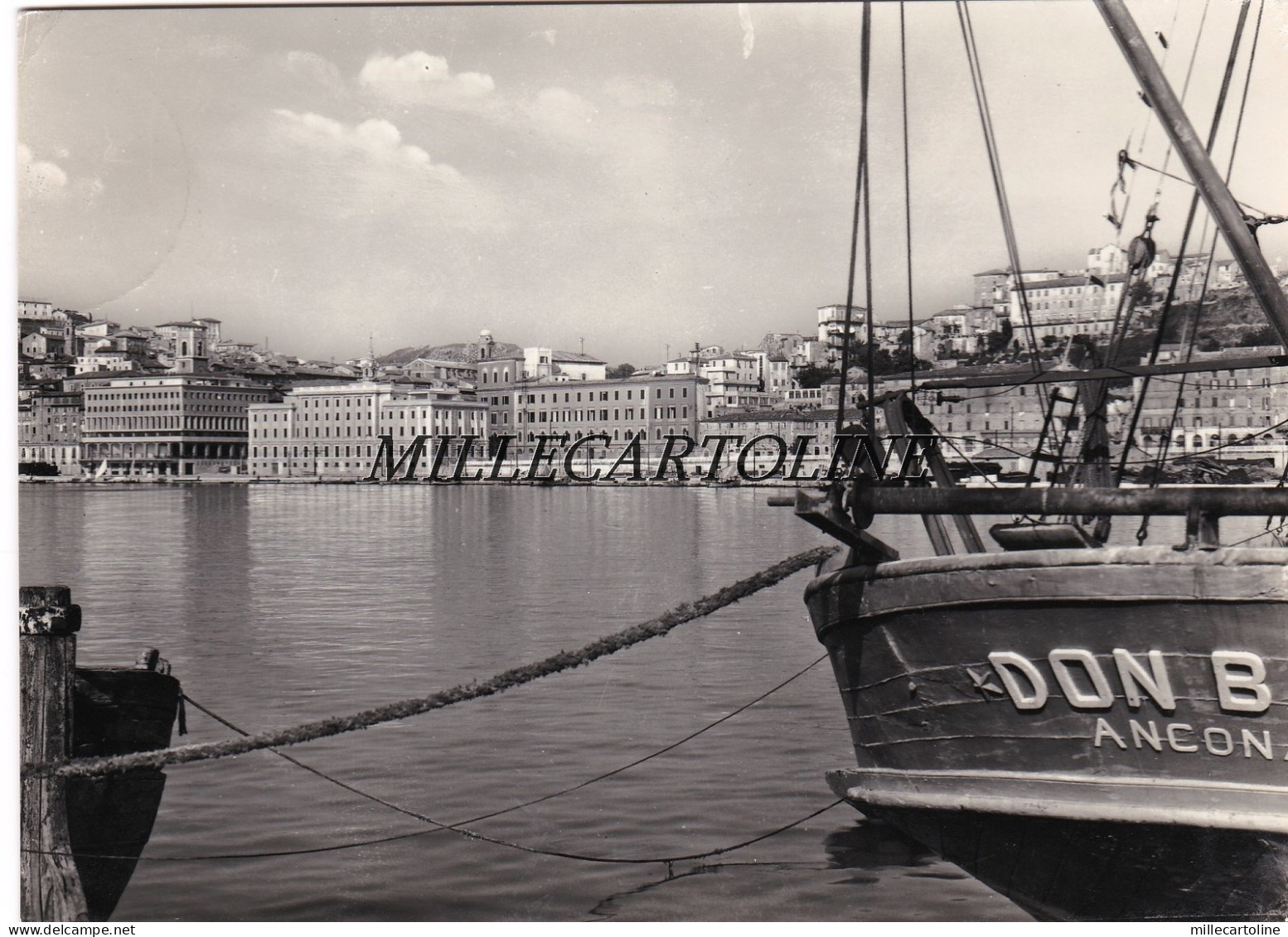 ANCONA:  Panorama    1955