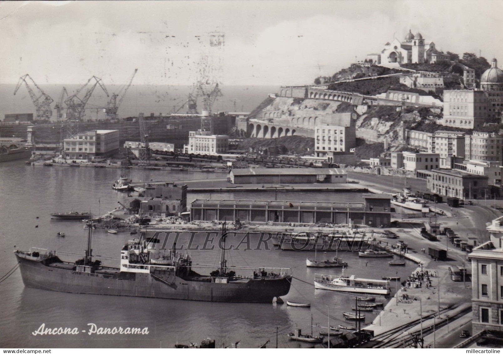 ANCONA: Panorama    1964