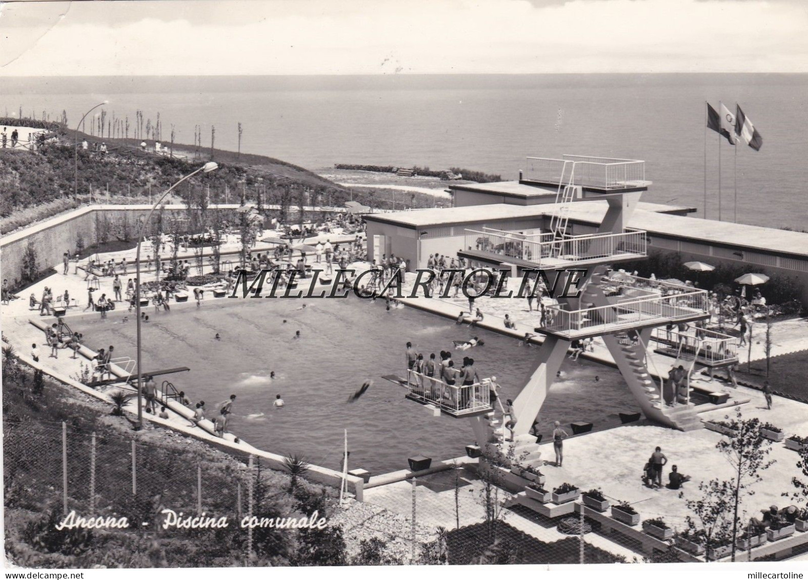 ANCONA: Piscina Comunale    1962