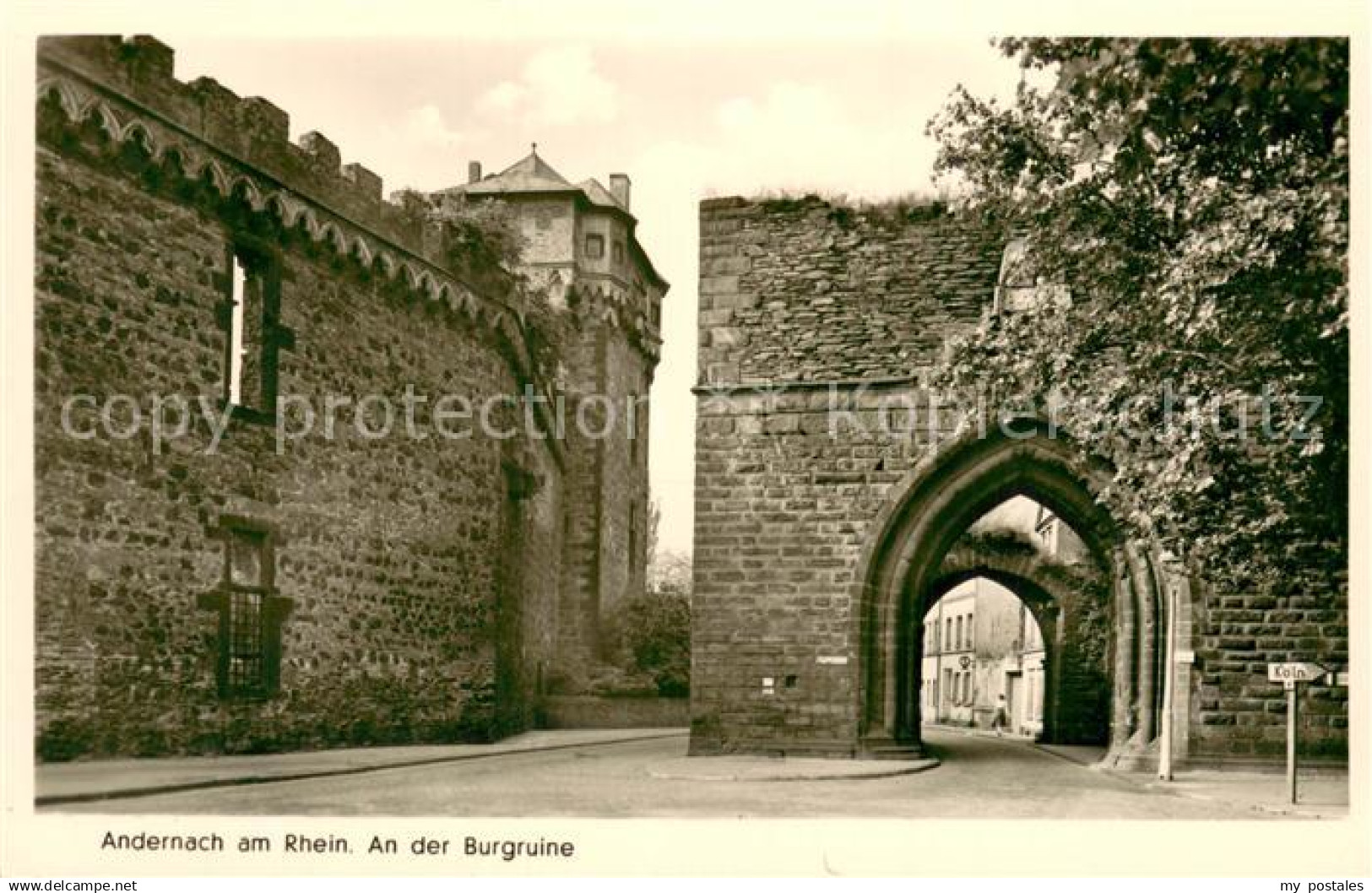 Andernach Burgruine