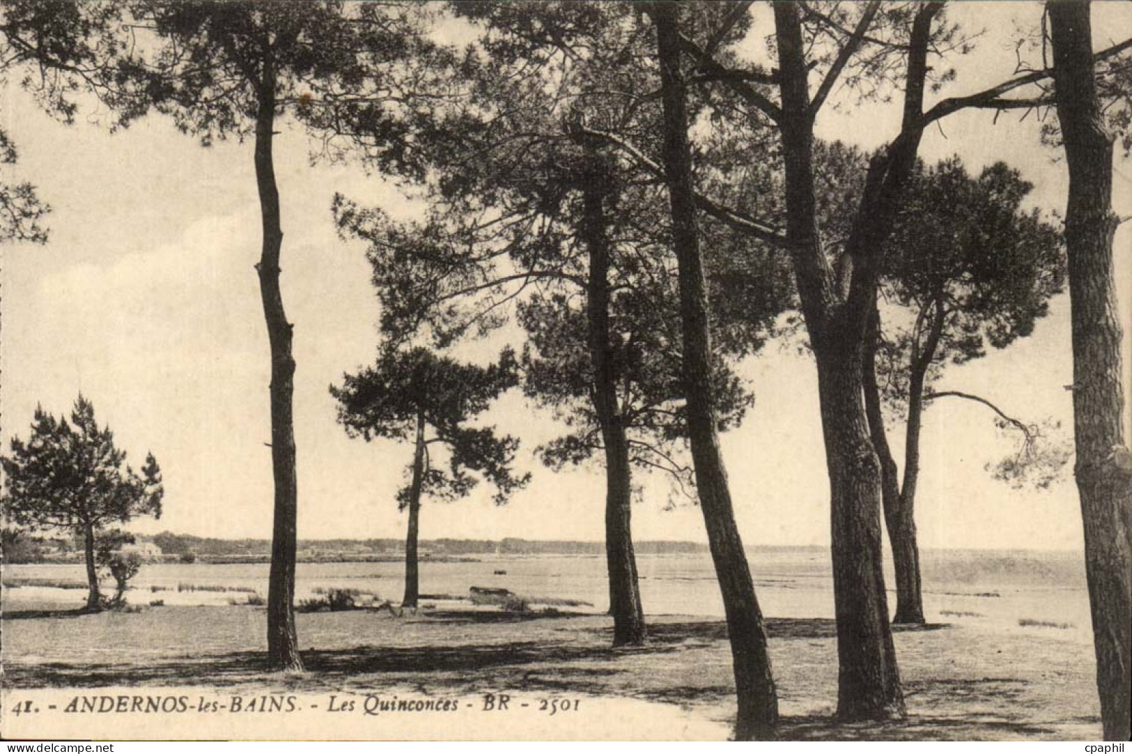 Andernos les Bains - Les Quincontes - CPA