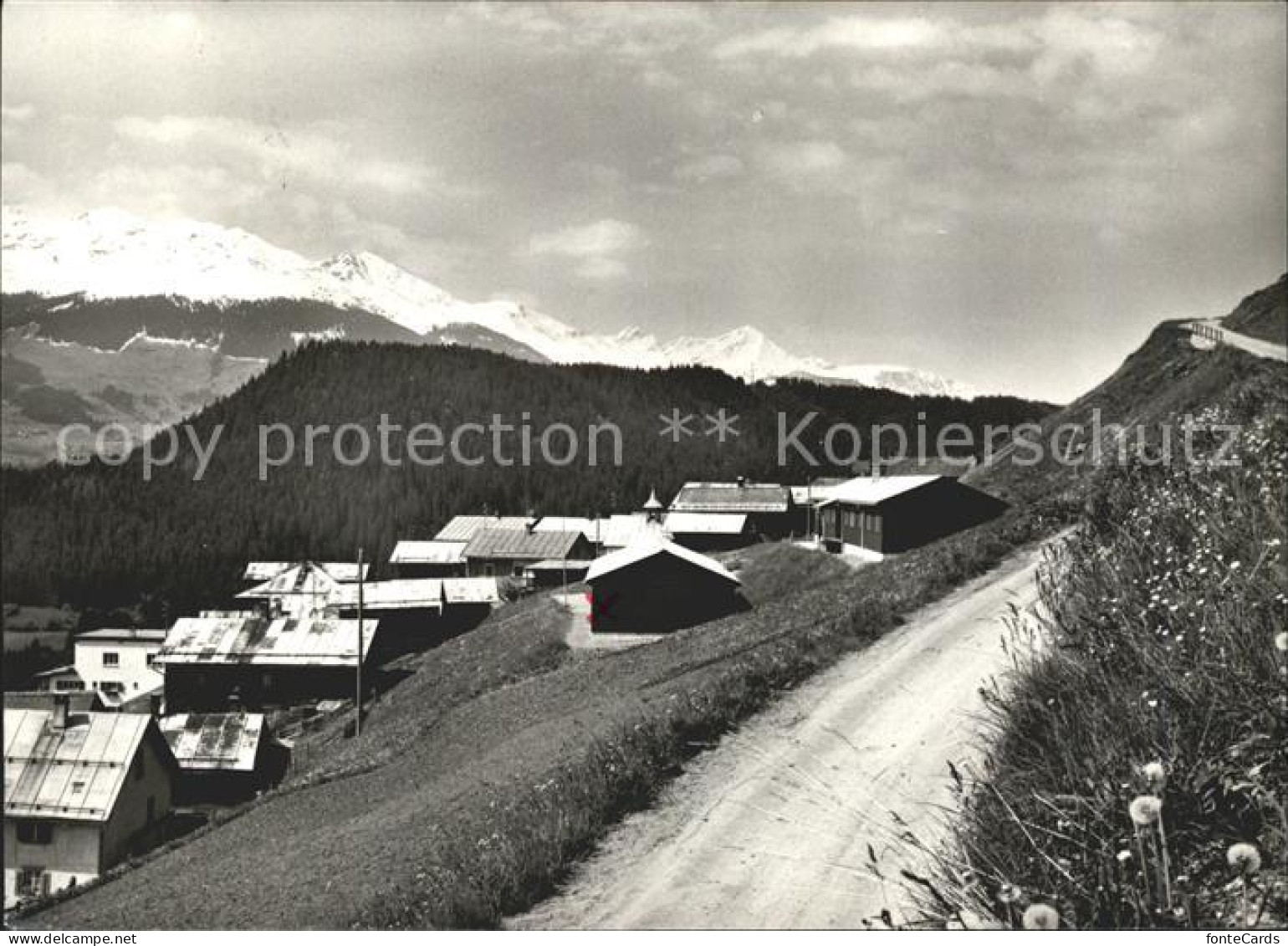 Andiast Ferienhaus Arbor felix montana