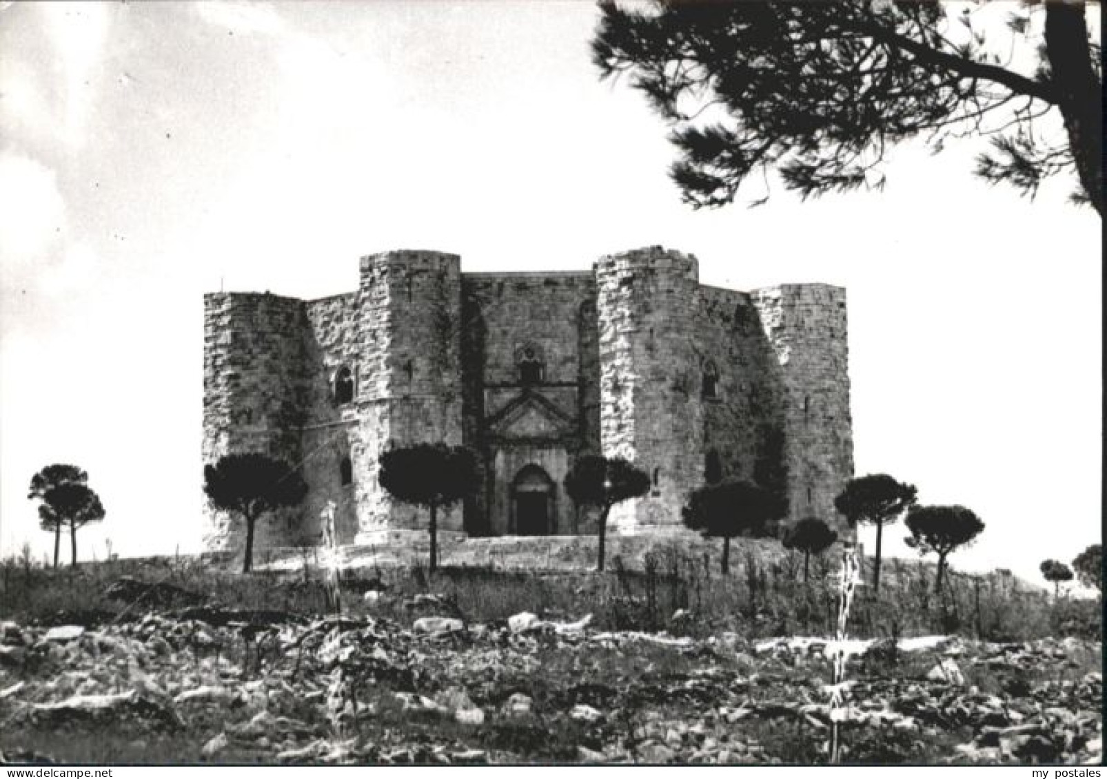 Andria Castel del Monte