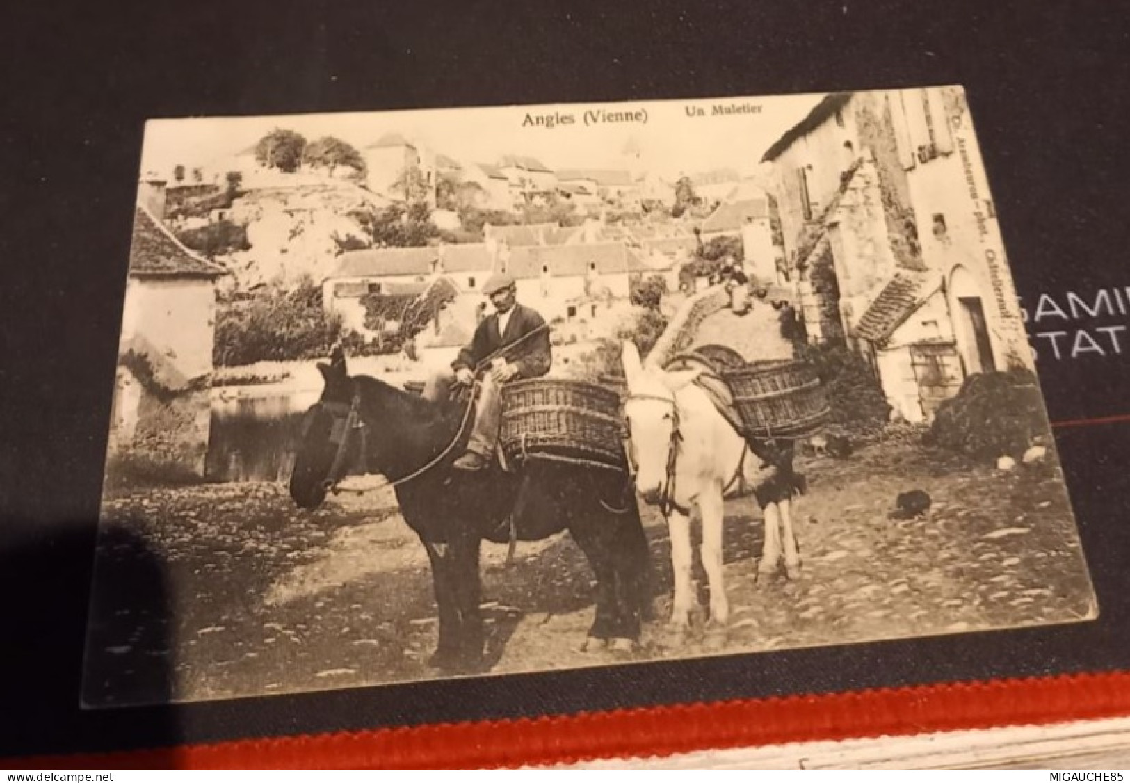 ANGLES - un  Muletier