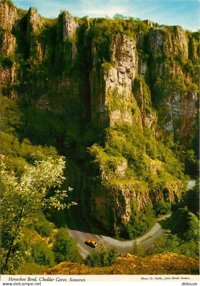 Angleterre - Cheddar - Cheddar Gorge - Horseshoe Bend - Somerset - England - Royaume Uni - UK - United Kingdom - CPM - C