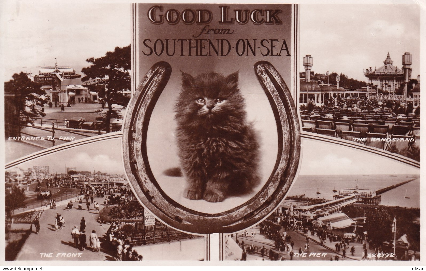 ANGLETERRE(SOUTHEND) CHAT
