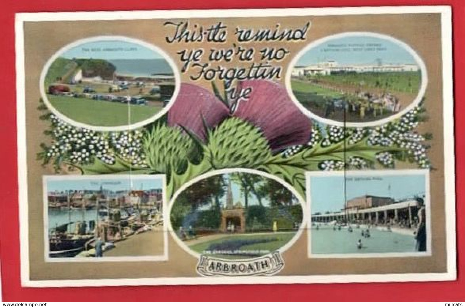 ANGUS. ARBROATH  PULL OUT VIEWS