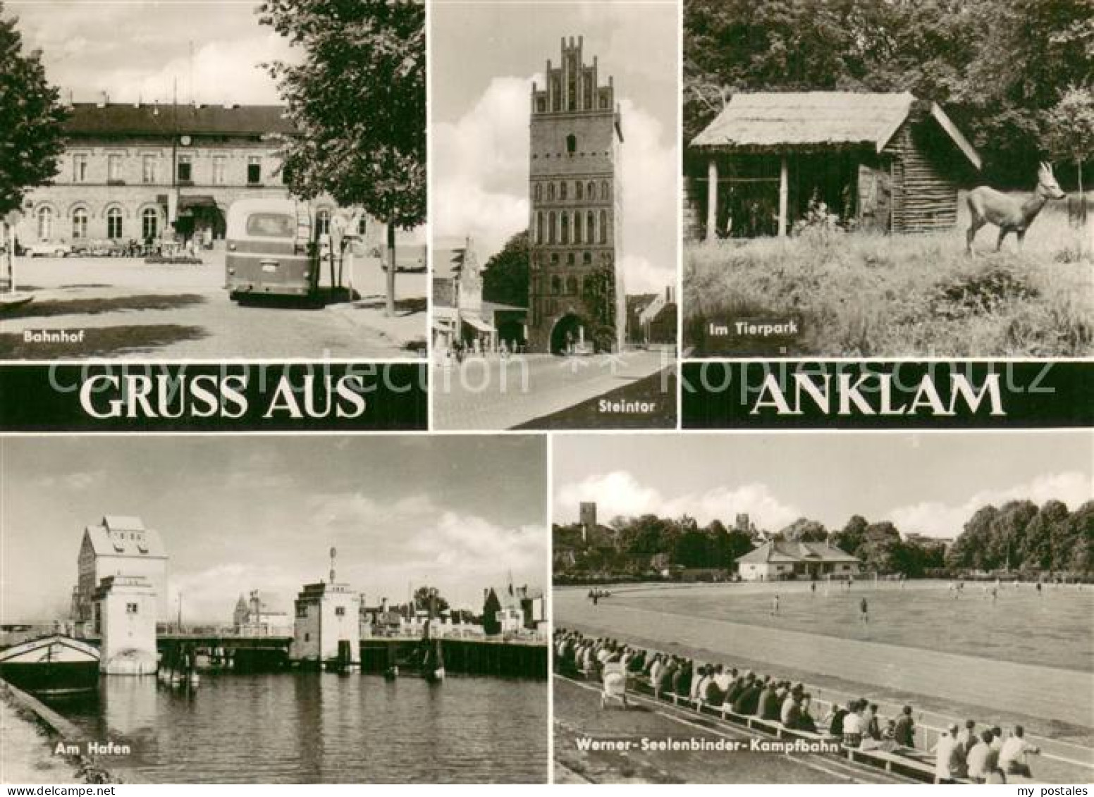 Anklam Bahnhof Steintor Im Tierpark Am Hafen Werner Seelenbinder Kampfbahn