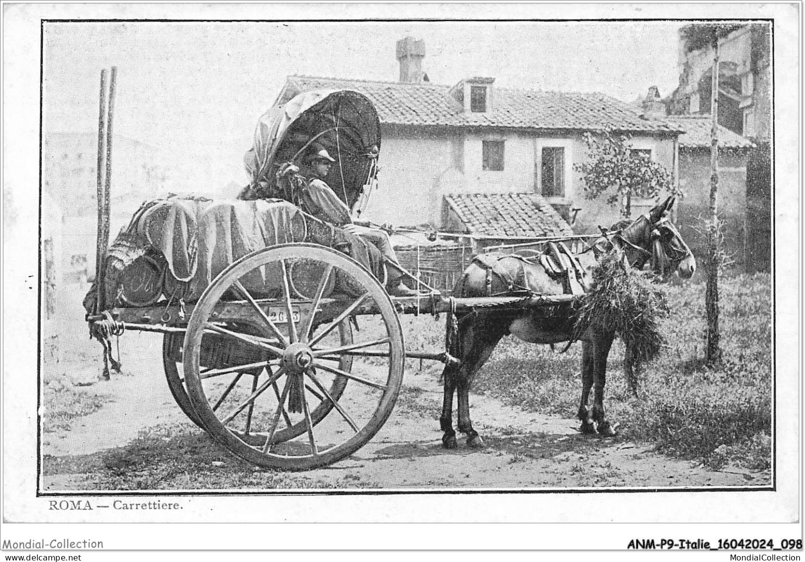 ANMP9-0651-ITALIE - ROMA - carrettiere