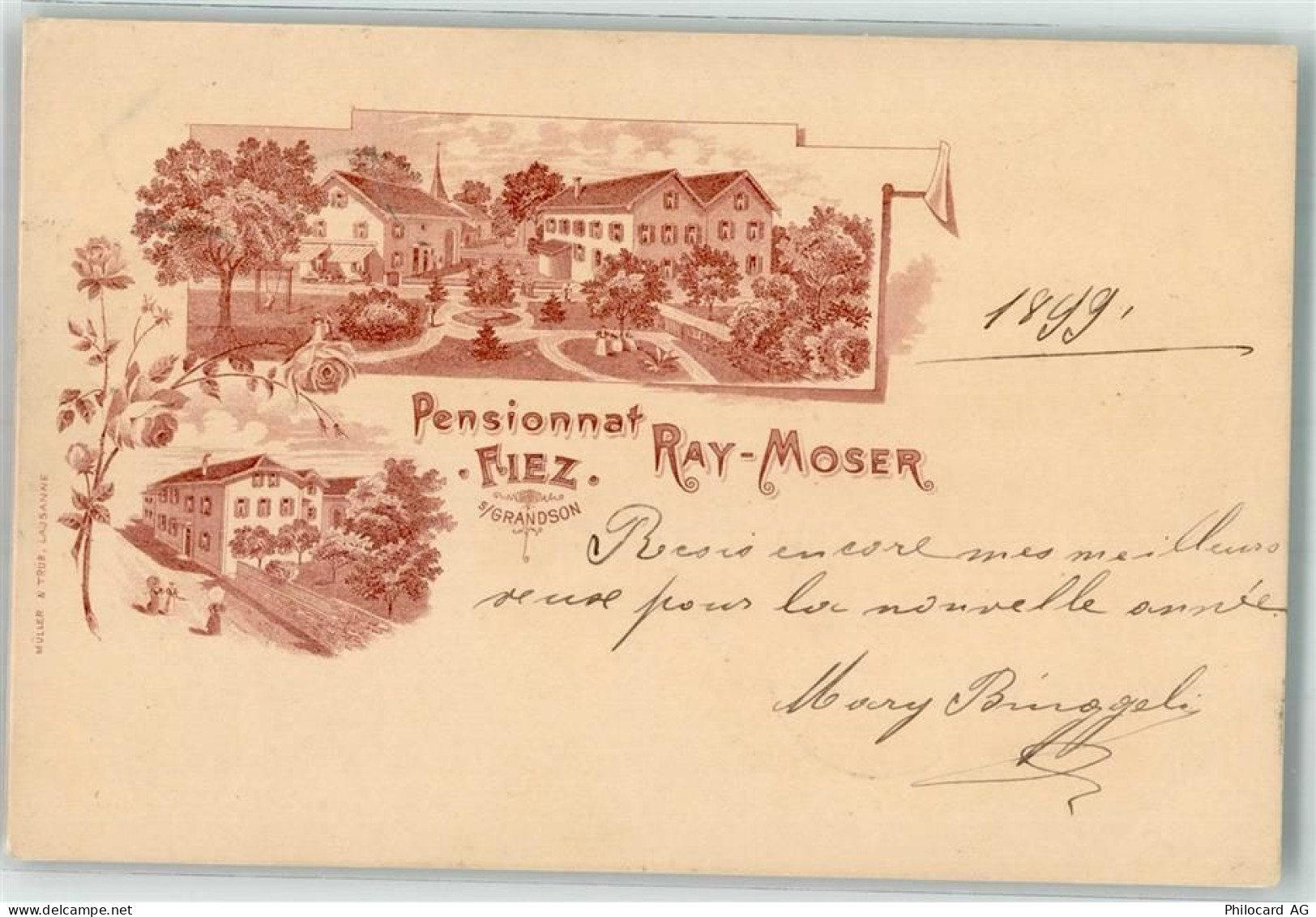 Ansichtskarte - 13636650