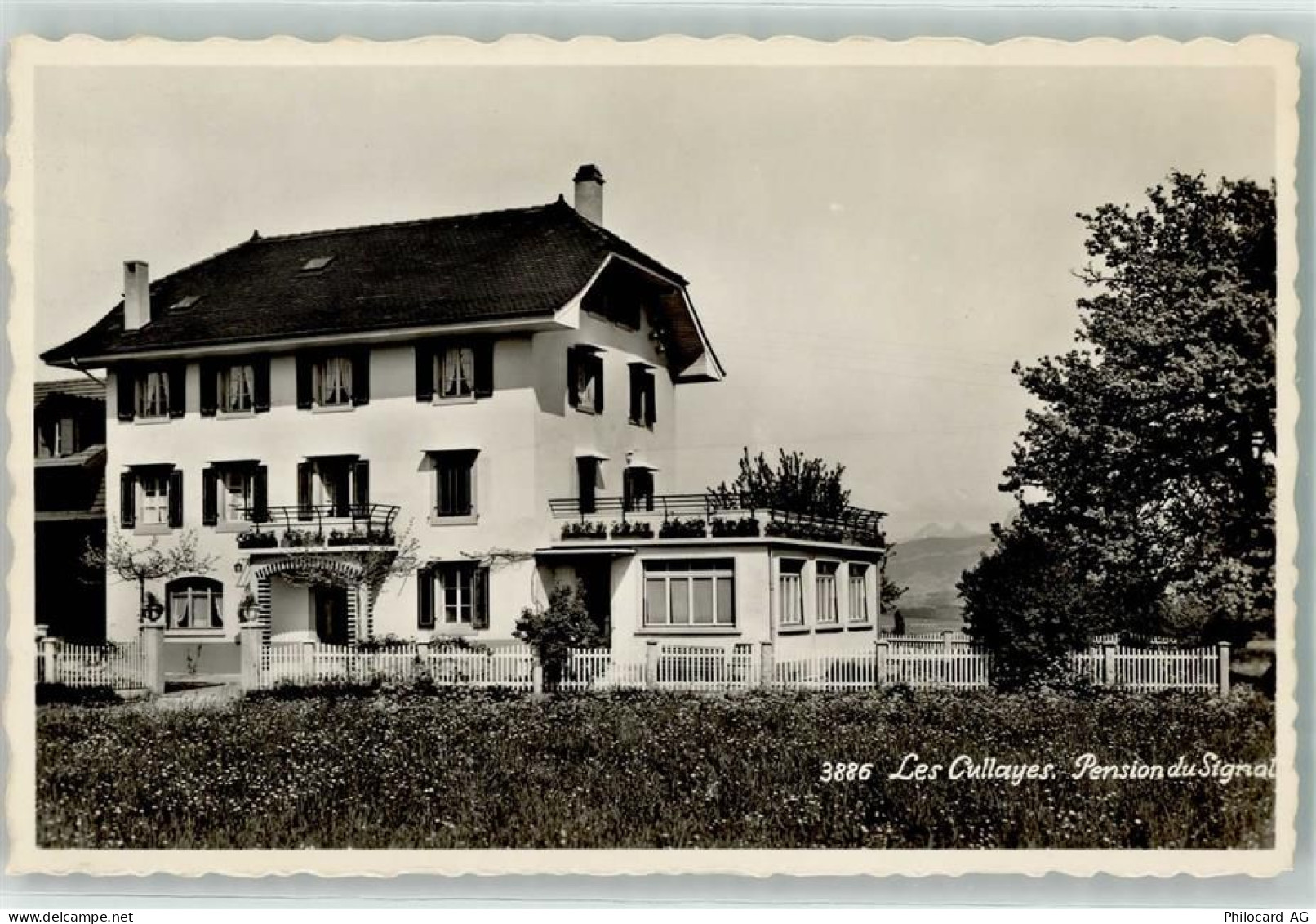 Ansichtskarte - 13902605