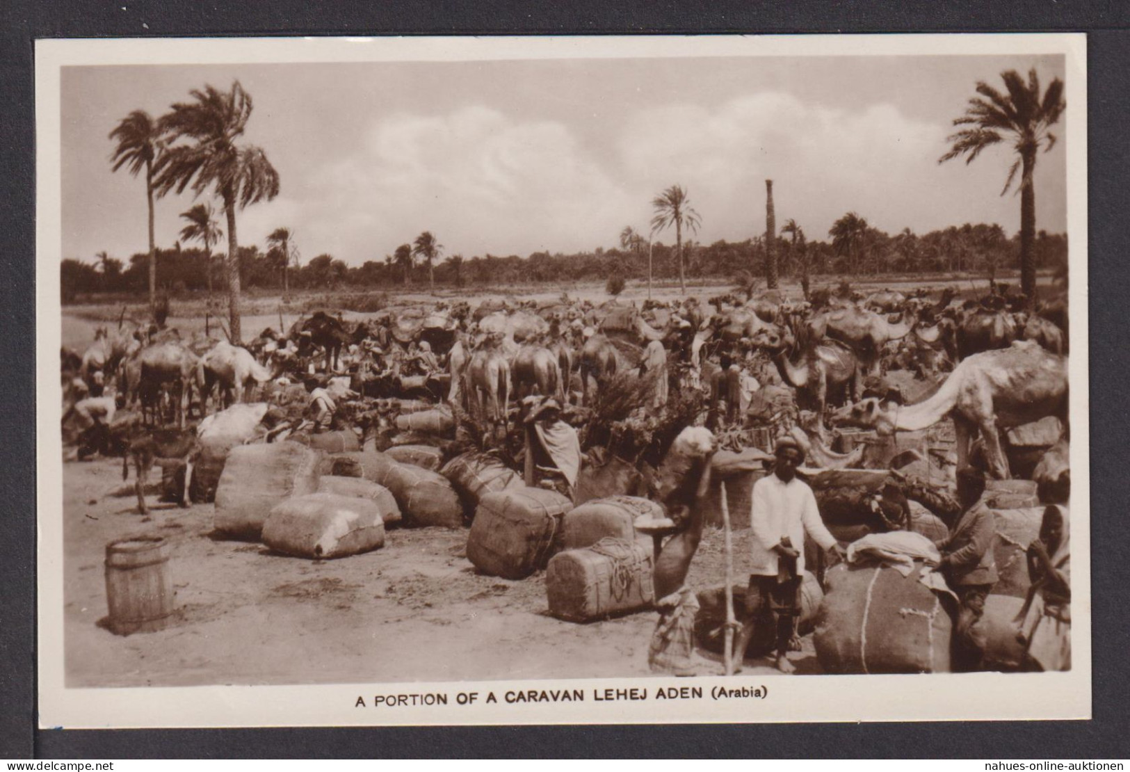 Ansichtskarte A Portion of a Caravan Lehej Aden Arabia Jemen