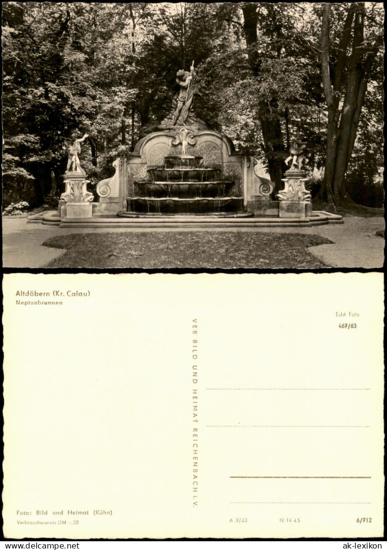 Ansichtskarte Altdöbern Schloss Kinderheim Neptunbrunnen 1963