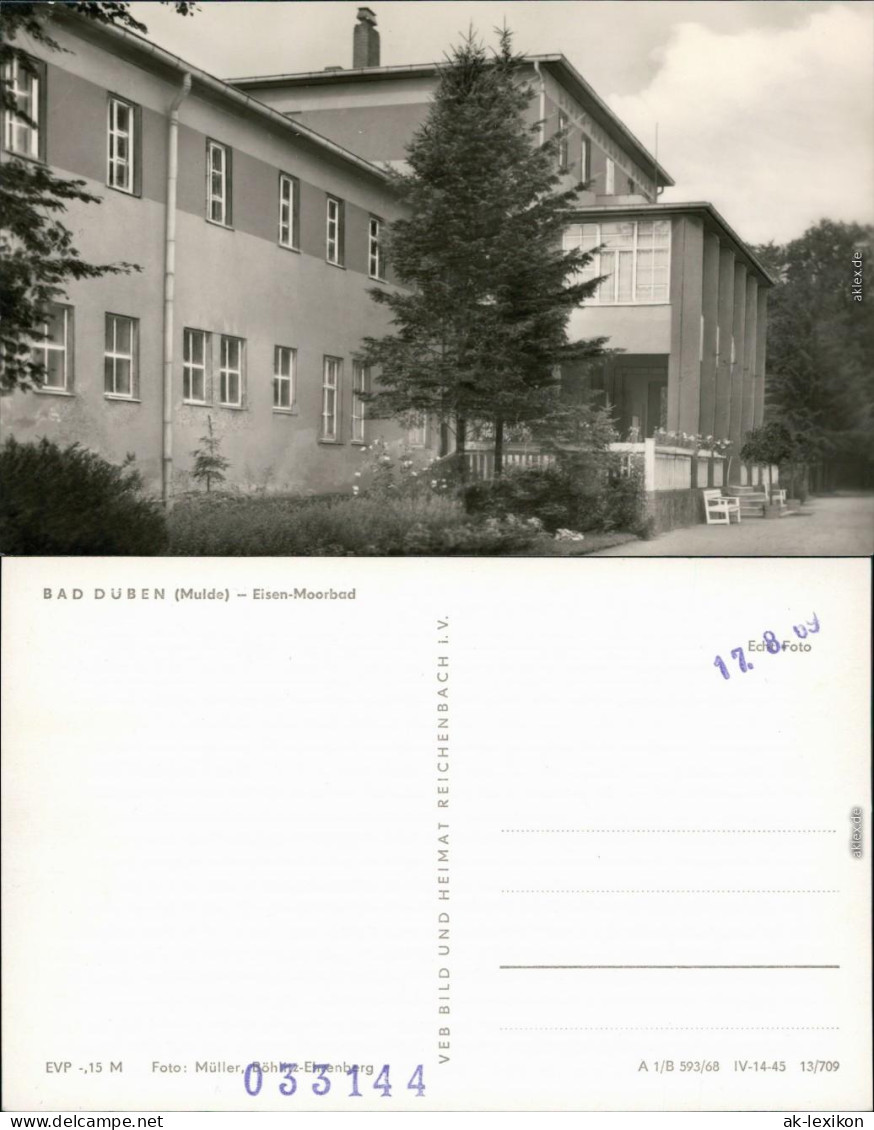 Ansichtskarte Bad Düben Eisenmoorbad 1968