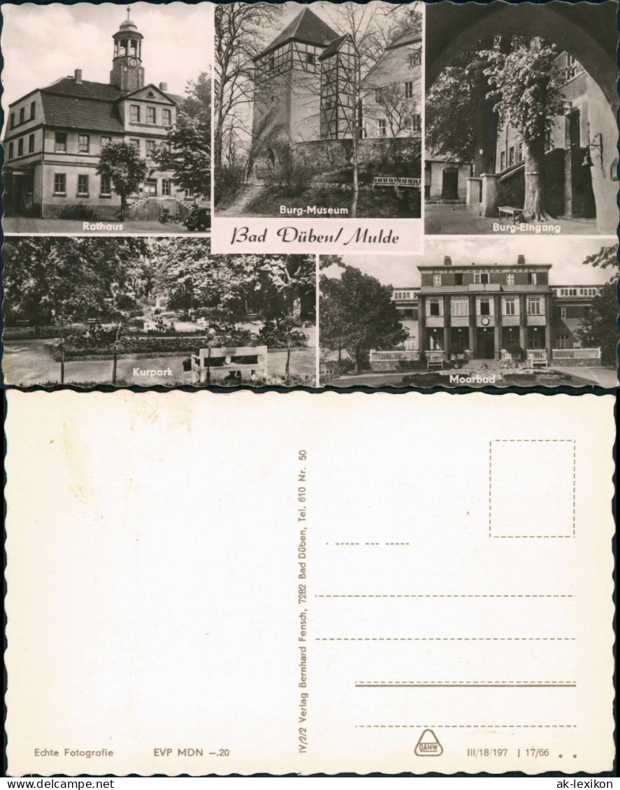 Ansichtskarte Bad Düben Mehrbild: Rathaus, Moorbad 1966