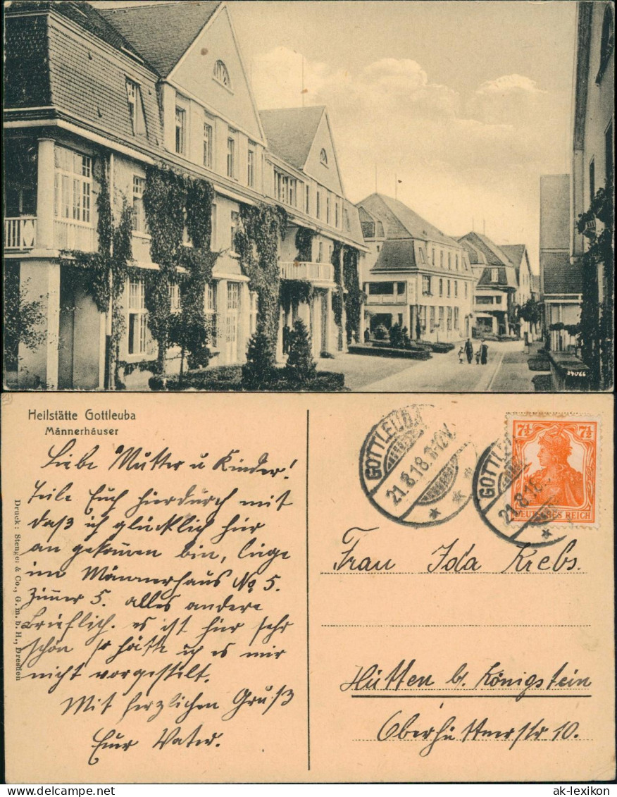 Ansichtskarte Bad Gottleuba-Bad Gottleuba-Berggießhübel Männerhäuser 1918