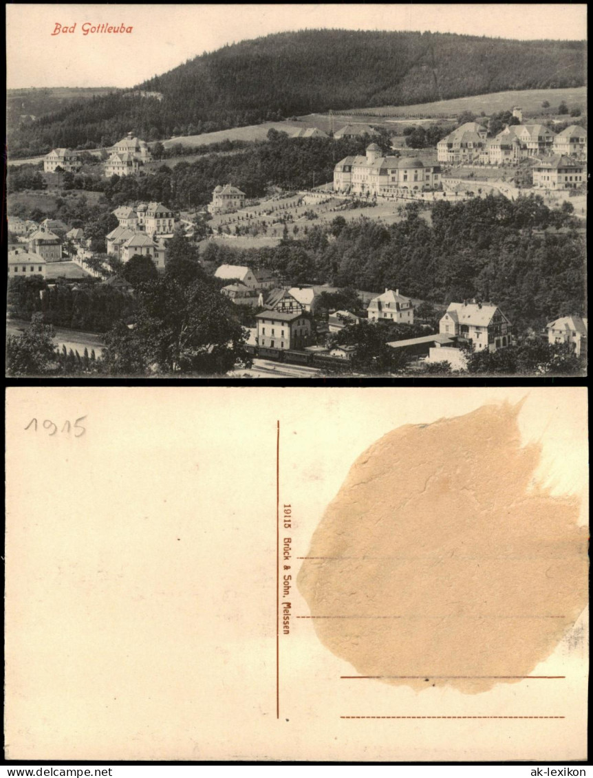 Ansichtskarte Bad Gottleuba-Bad Gottleuba-Berggießhübel Stadtblick 1915