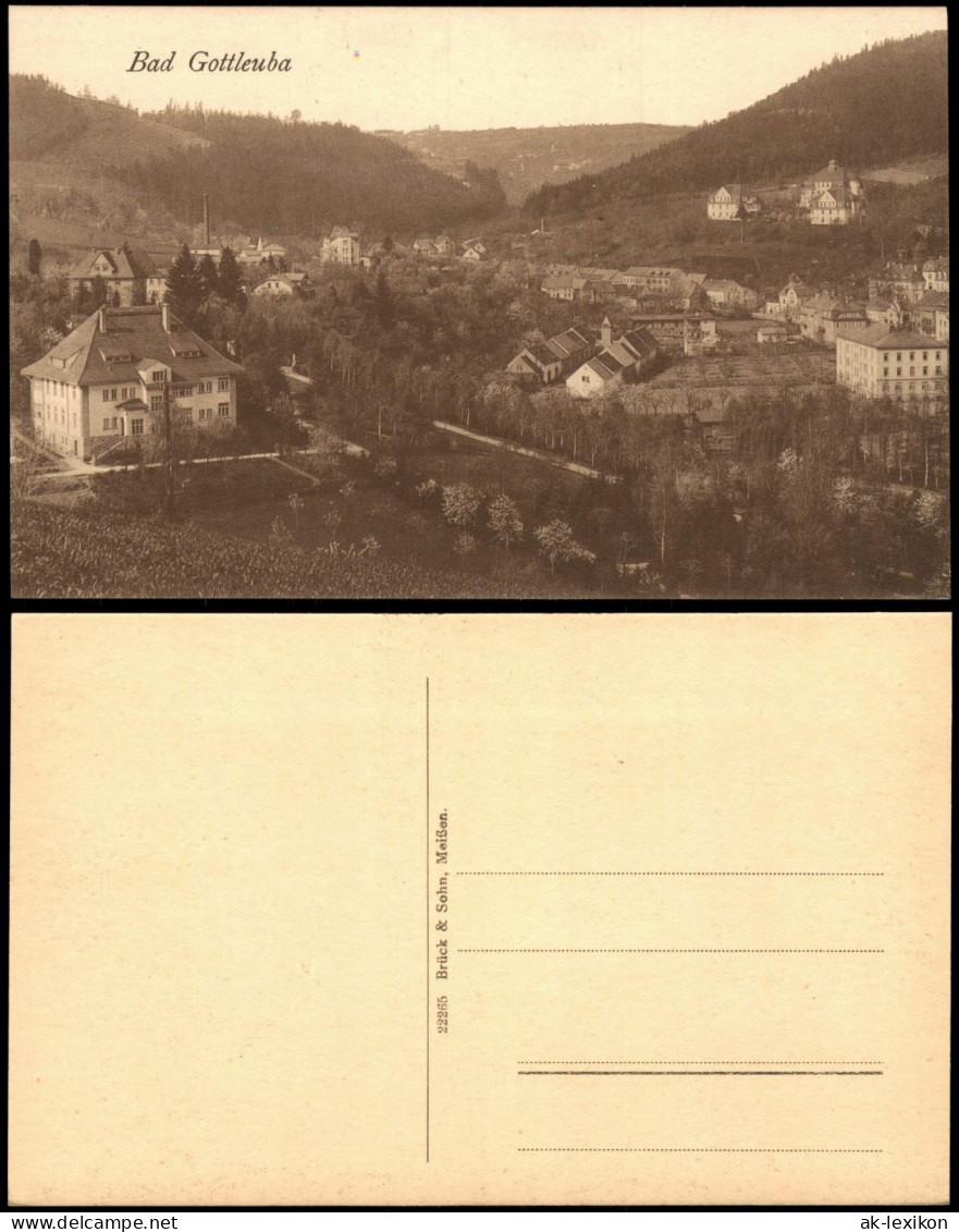 Ansichtskarte Bad Gottleuba-Bad Gottleuba-Berggießhübel Stadtpartie 1923