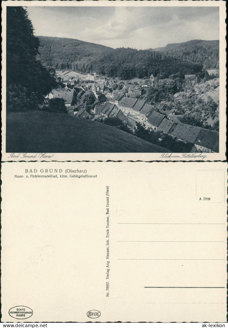 Ansichtskarte Bad Grund (Harz) Stadtpartie 1929