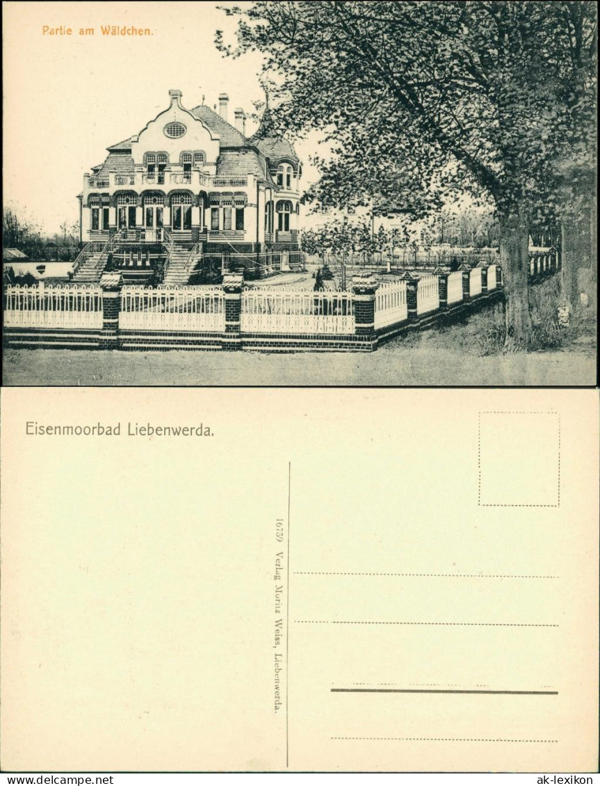 Ansichtskarte Bad Liebenwerda Villa im Wäldchen 1913