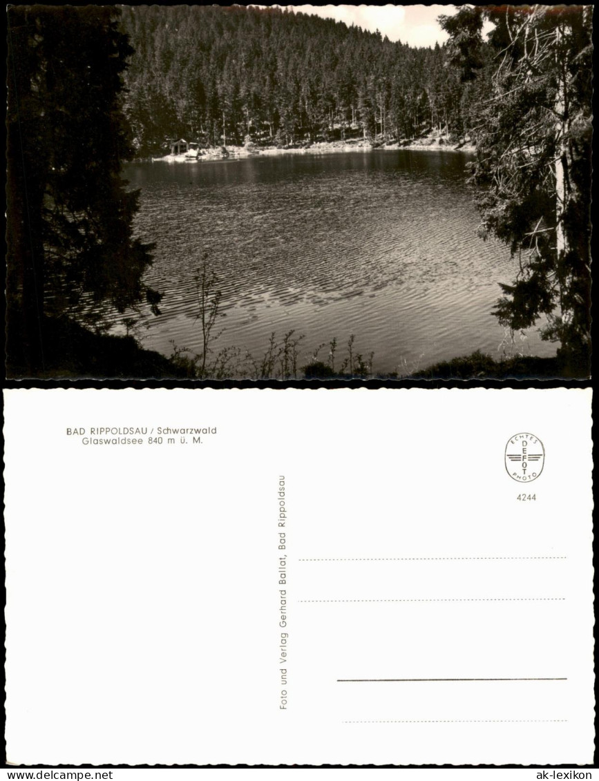 Ansichtskarte Bad Rippoldsau-Bad Rippoldsau-Schapbach Glaswaldsee 1955