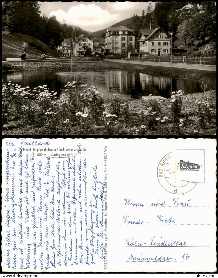 Ansichtskarte Bad Rippoldsau-Schapbach Luitgardstift - Straßenpartie 1964