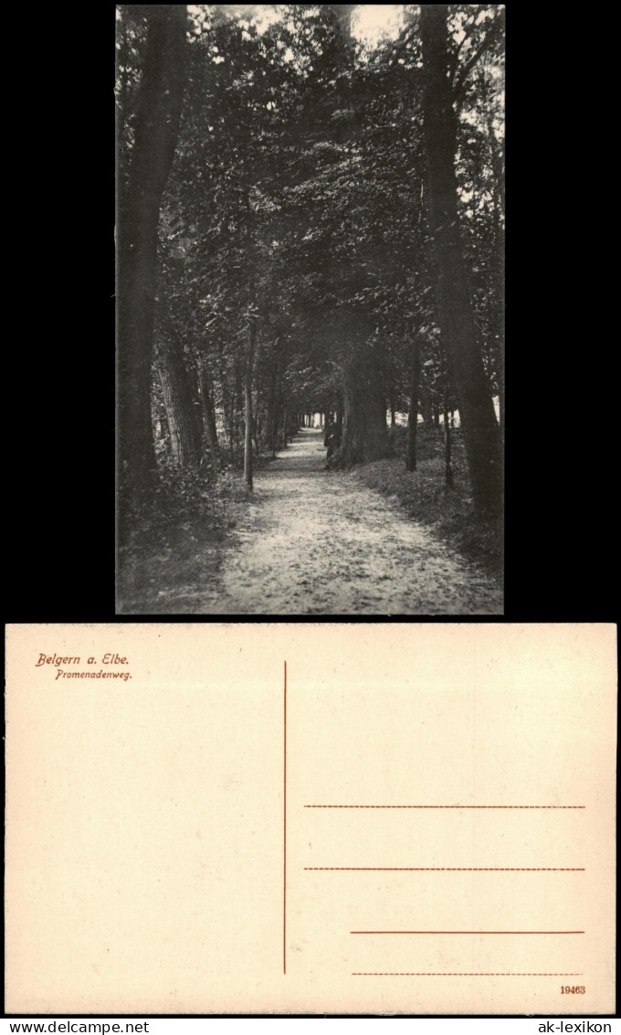 Ansichtskarte Belgern Promenadenweg. 1915