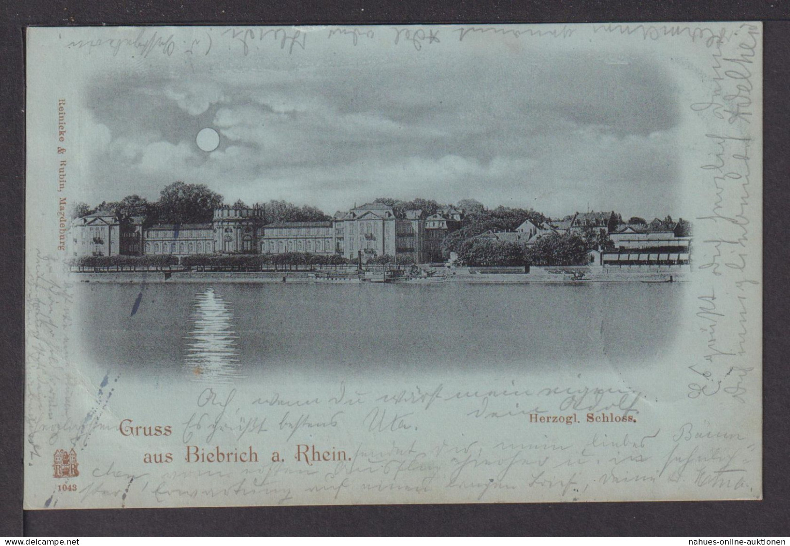 Ansichtskarte Biebrich Rheinland-Pfalz 1898 Schloss Freinsheim Rheinland-Pfalz