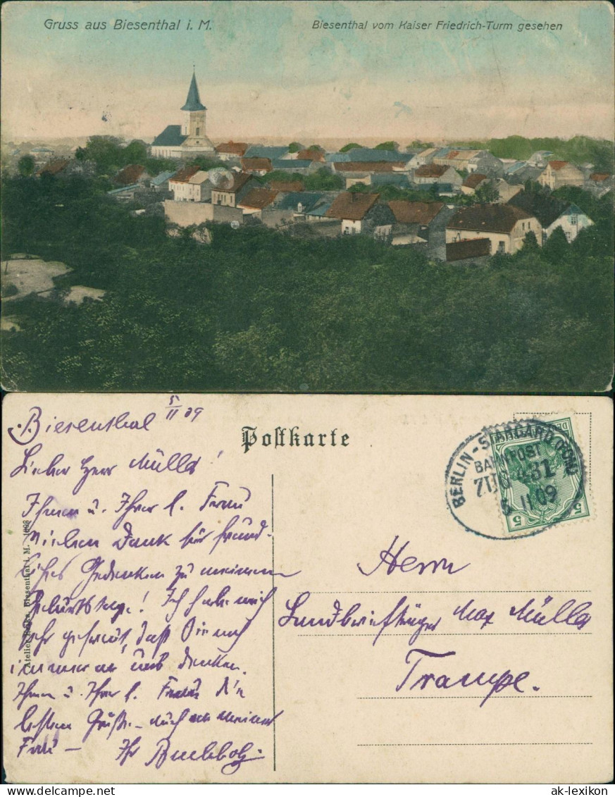 Ansichtskarte Biesenthal Biesenthal vom Kaiserturm gesehen 1909