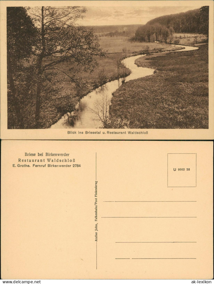 Ansichtskarte Birkenwerder Blick ins Briesetal u. Restaurant Waldschloß 1922