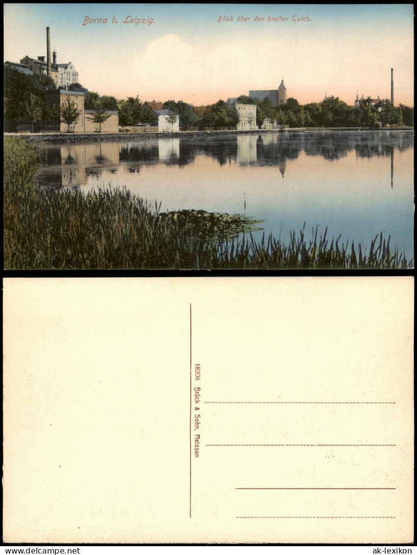 Ansichtskarte Borna Blick über den breiten Teich 1914
