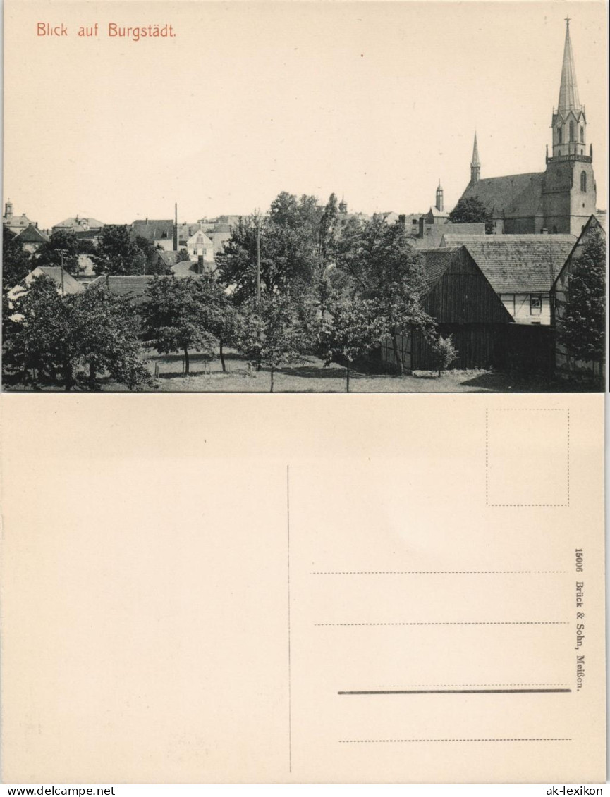 Ansichtskarte Burgstädt Stadtpartie 1903