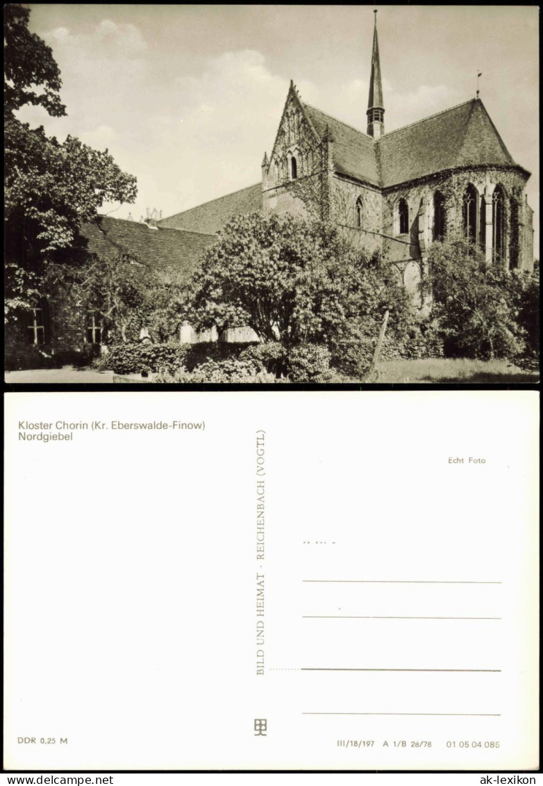 Ansichtskarte Chorin Nordgiebel Kloster Chorin 1978