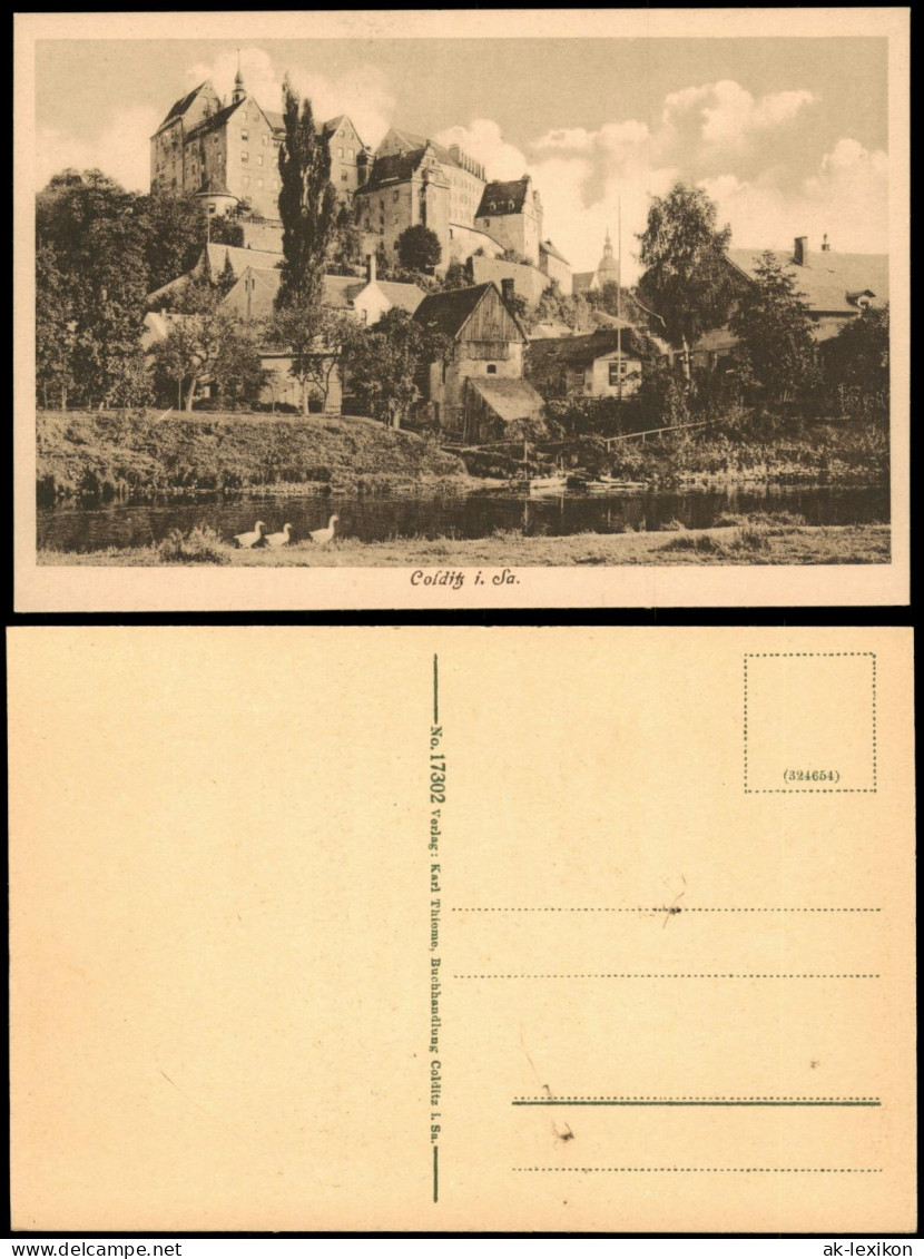 Ansichtskarte Colditz Partie an der Stadt 1913