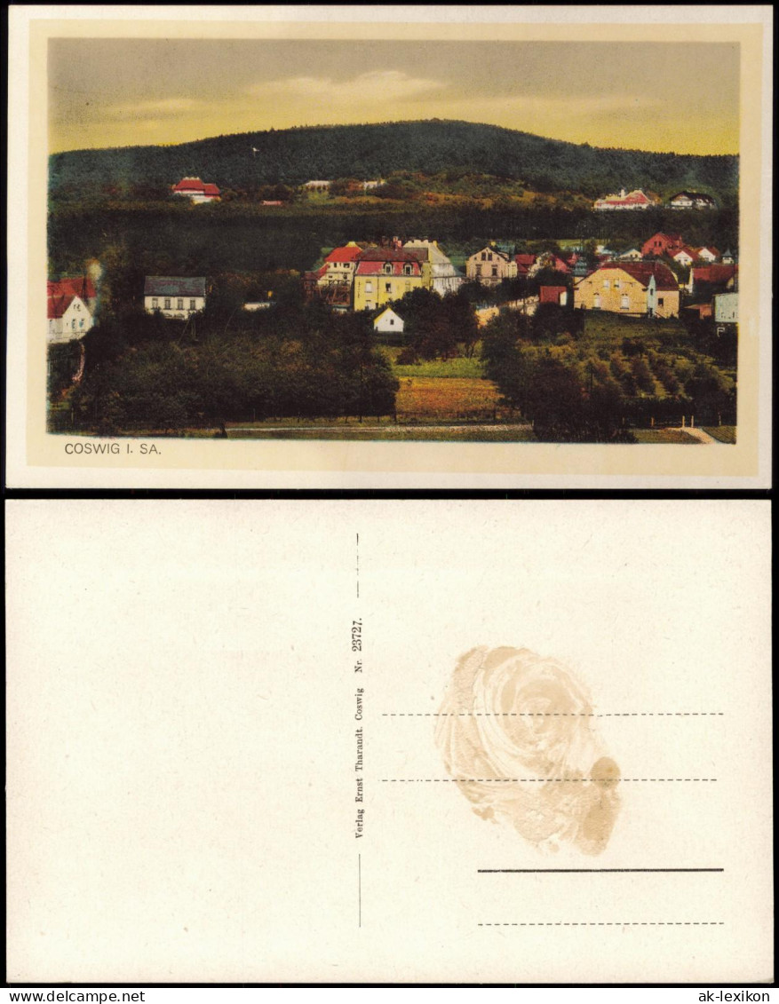 Ansichtskarte Coswig (Sachsen) Stadtpartie 1926