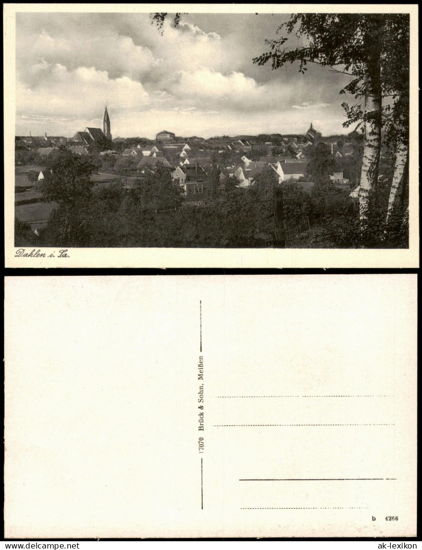 Ansichtskarte Dahlen Blick auf die Stadt 1913