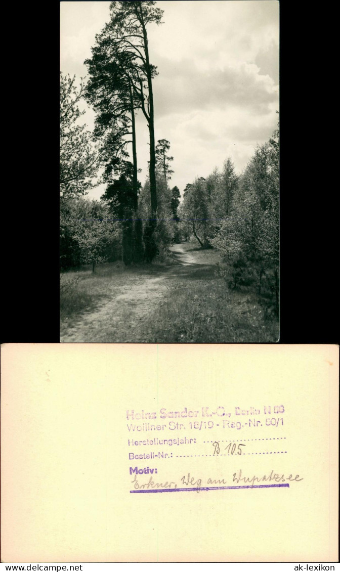 Ansichtskarte Erkner Weg Wupatzsee 1956