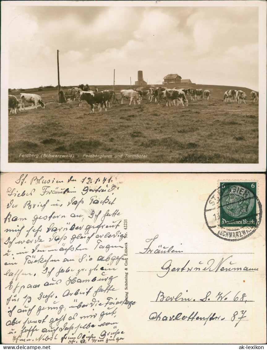 Ansichtskarte Feldberg (Schwarzwald) Feldberg (1500m) Schwarzwald Kühe 1941