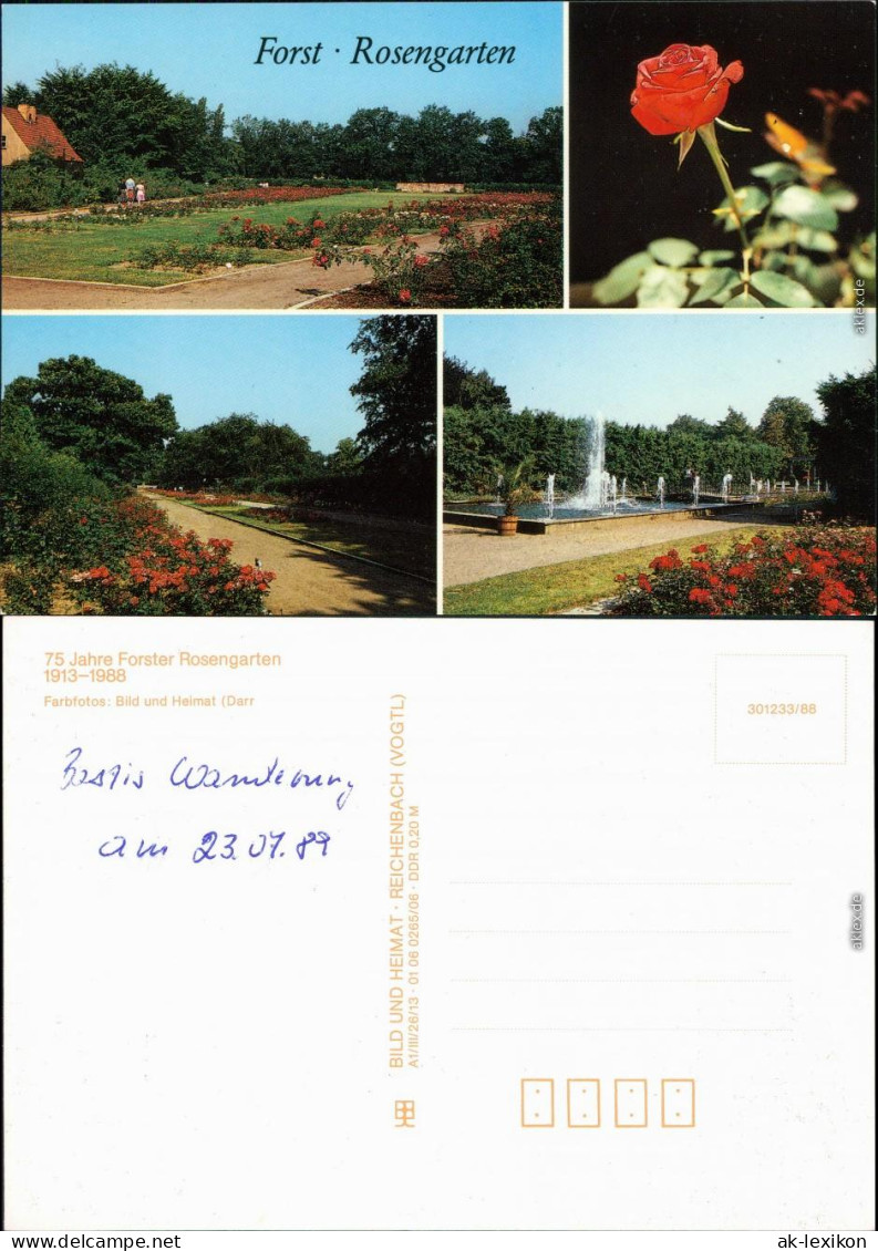 Ansichtskarte Forst (Lausitz) Baršć Rosengarten 1989