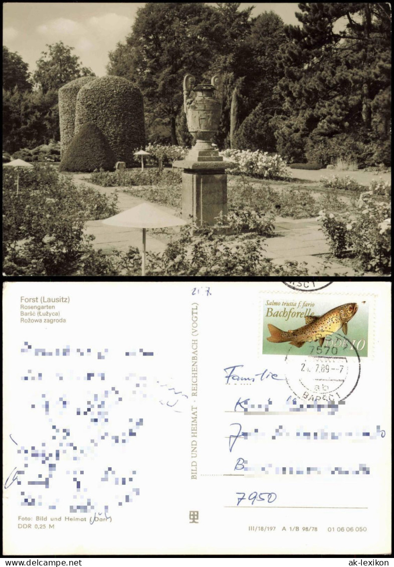 Ansichtskarte Forst (Lausitz) Baršć Rosengarten - Plastik 1978
